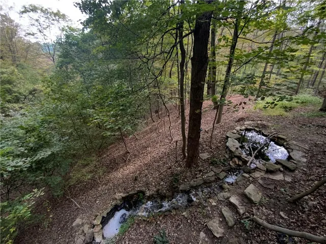 a bathroom with a shower and a toilet