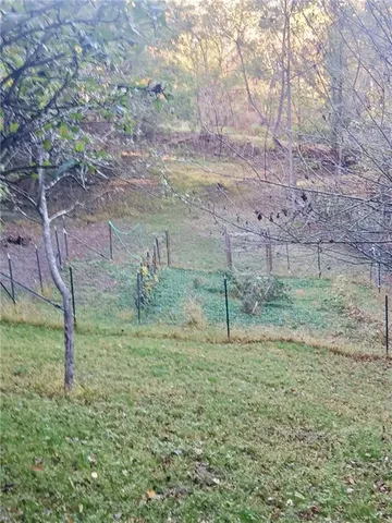 a view of park space with large trees