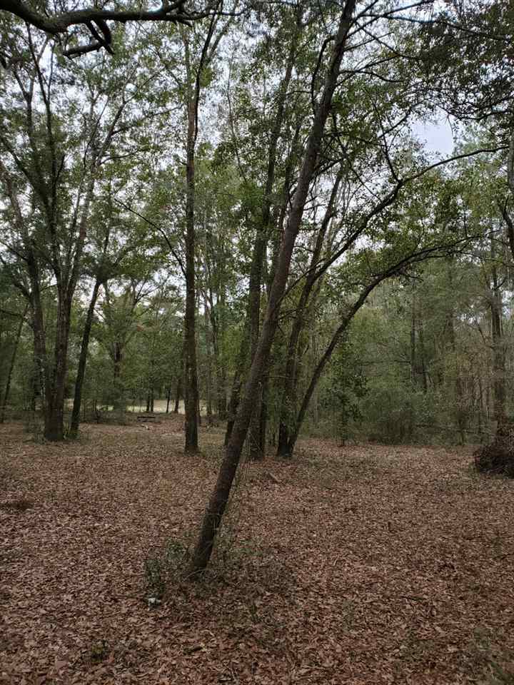 4350 North Road Green Cove Springs, FL 32043 - Photo 14 of 16 Gallery Image 14