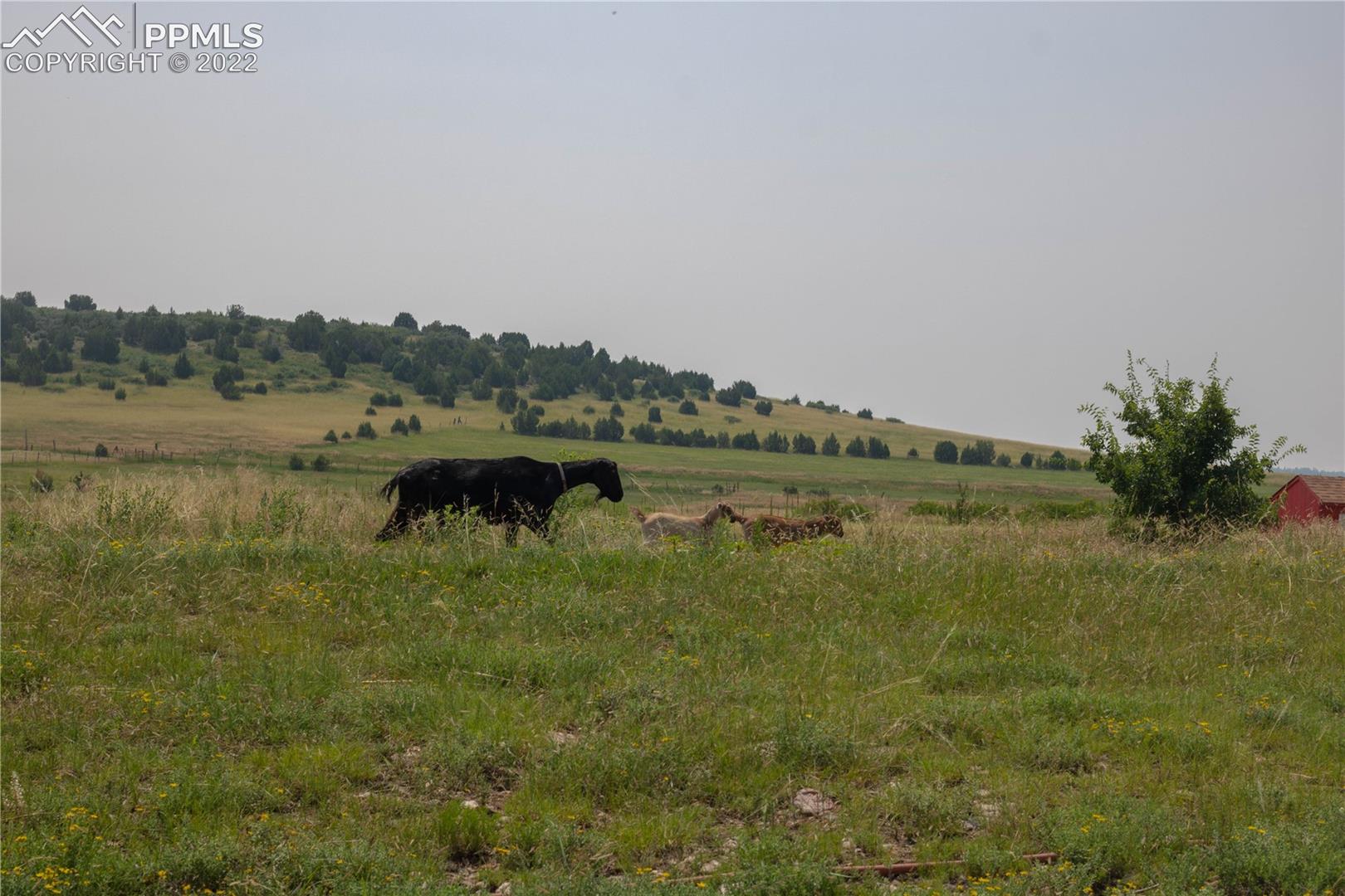 8225 3 R Road Beulah, CO 81023 - Photo 40 of 41 Gallery Image 40