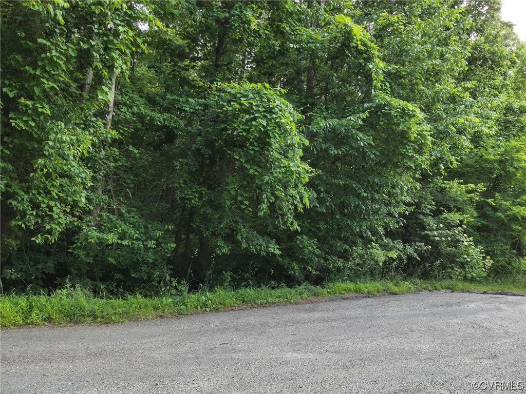0 Mosby Road Powhatan, VA 23139 - Photo 3 of 17 View of street