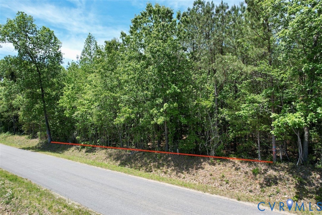 600 Red Oak Road Alberta, VA 23821 - Photo 14 of 16 a view of a yard with plants and trees beside of it