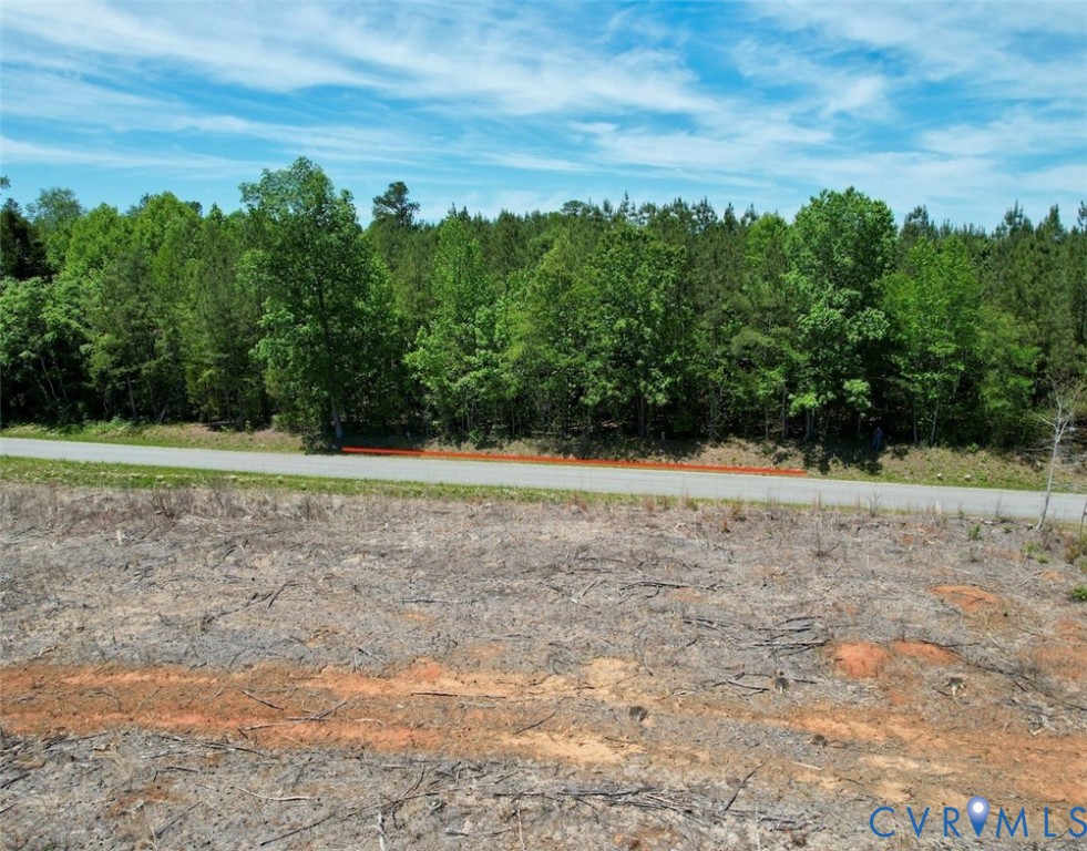 600 Red Oak Road Alberta, VA 23821 - Photo 6 of 16 a view of a yard with trees