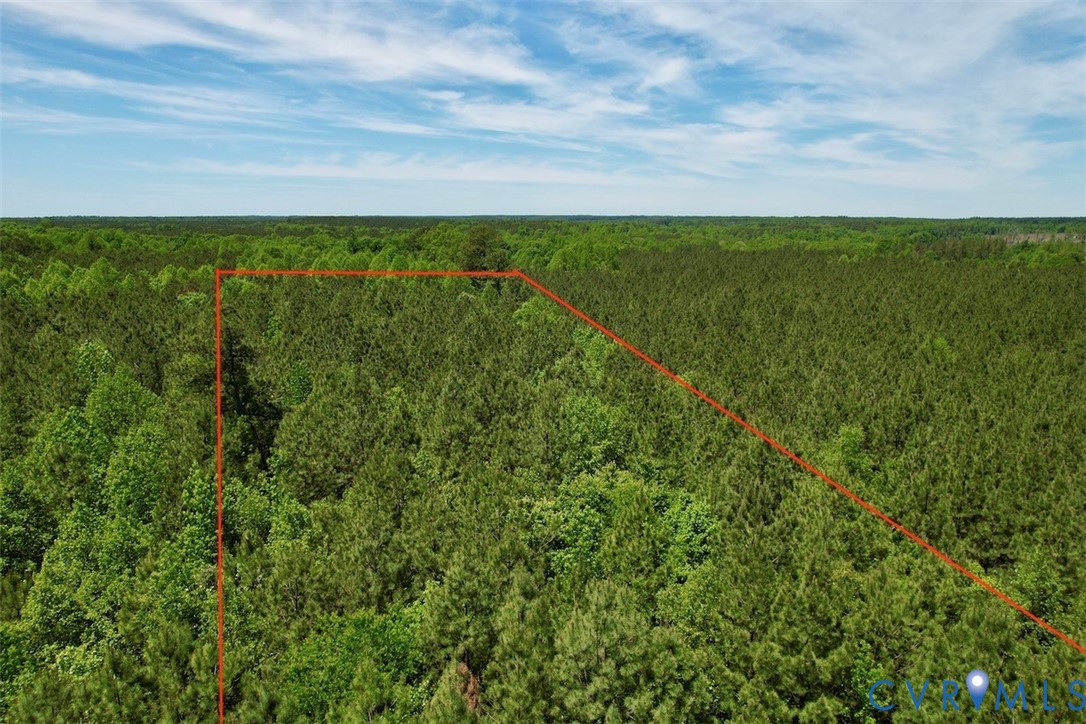 600 Red Oak Road Alberta, VA 23821 - Photo 10 of 16 a view of a field with an ocean