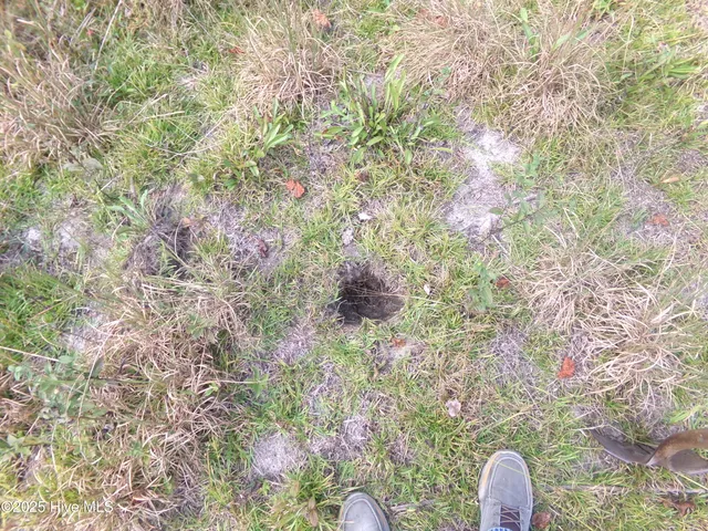 $17,000 | Lot 44964 Big Island Road, White Oak, NC 28399