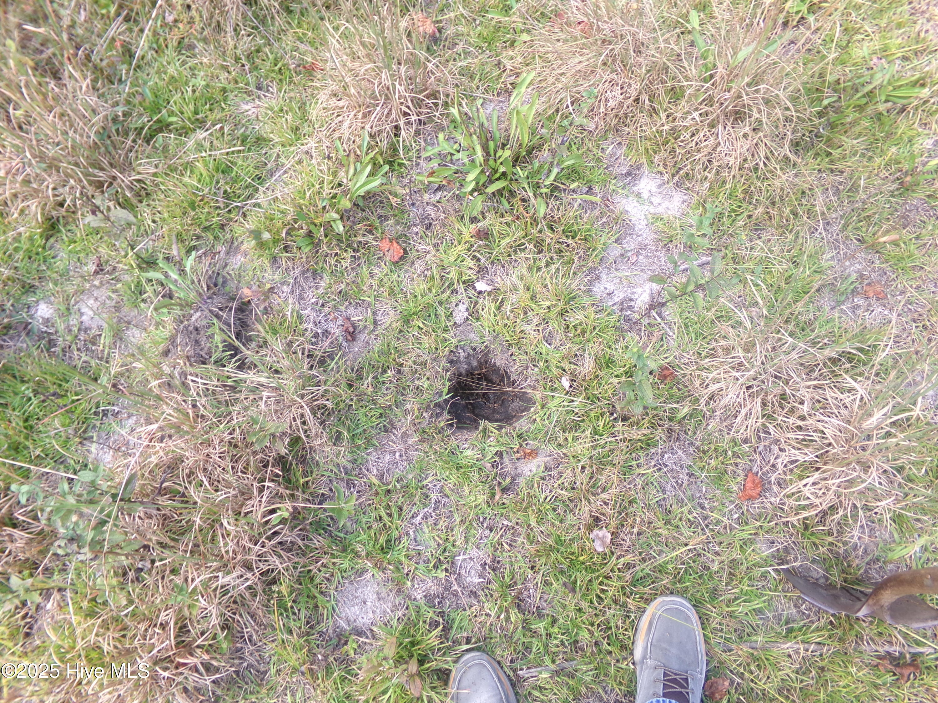 Lot 44964 Big Island Road White Oak, NC 28399 - Photo 2 of 5 I did a perc test. But I'm not the county.