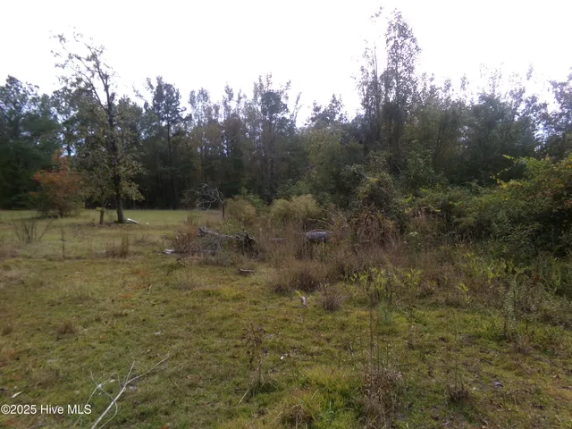 $17,000 | Lot 44964 Big Island Road, White Oak, NC 28399