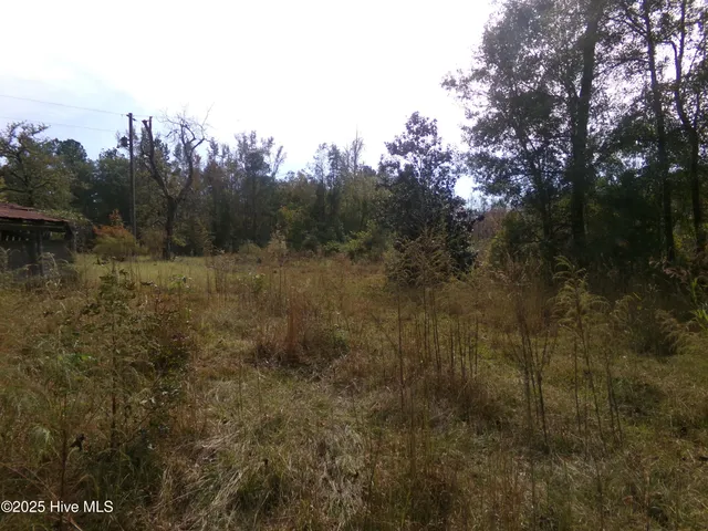 $17,000 | Lot 44964 Big Island Road, White Oak, NC 28399