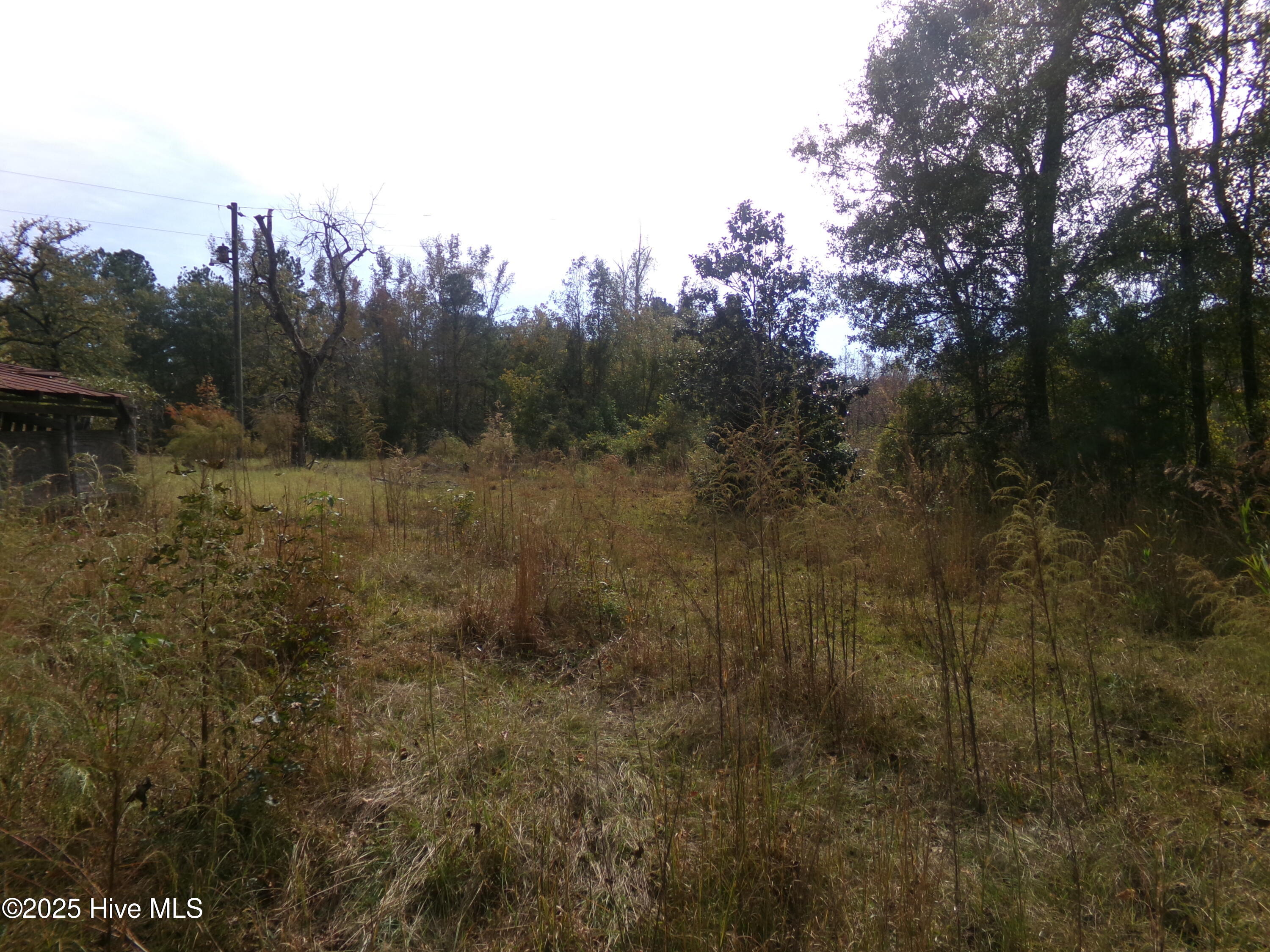 Lot 44964 Big Island Road White Oak, NC 28399 - Photo 4 of 5 139_1019