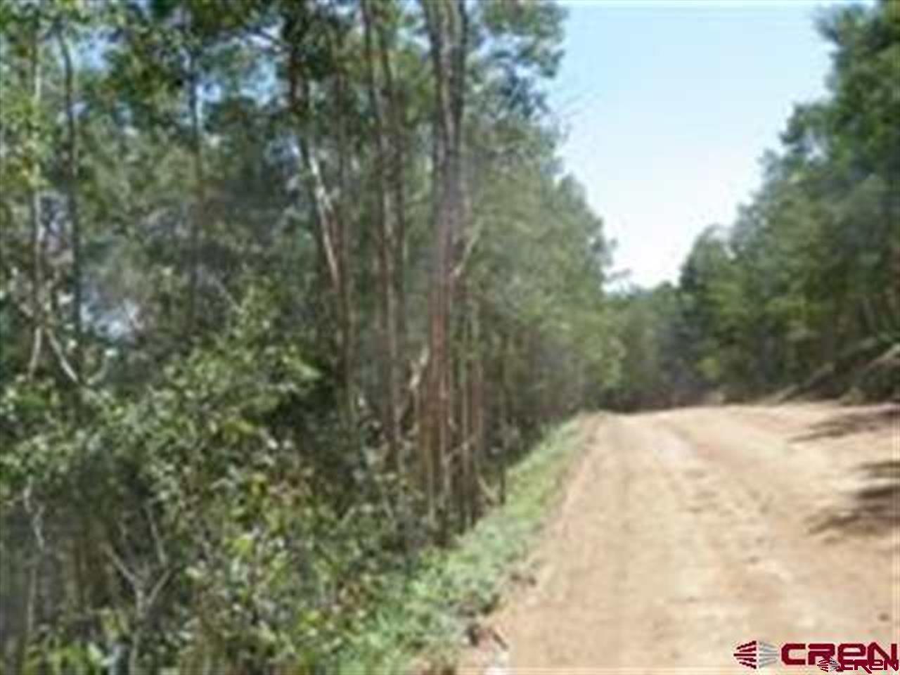6203 Forbes Road San Luis, CO 81152 - Photo 1 of 1 Gallery Image 1
