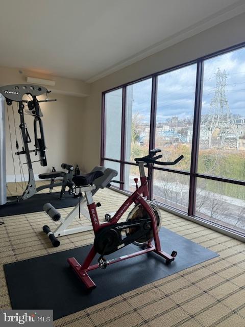 3750 Main Street, Unit 509 Philadelphia, PA 19127 - Photo 19 of 23 a view of a room with gym equipment