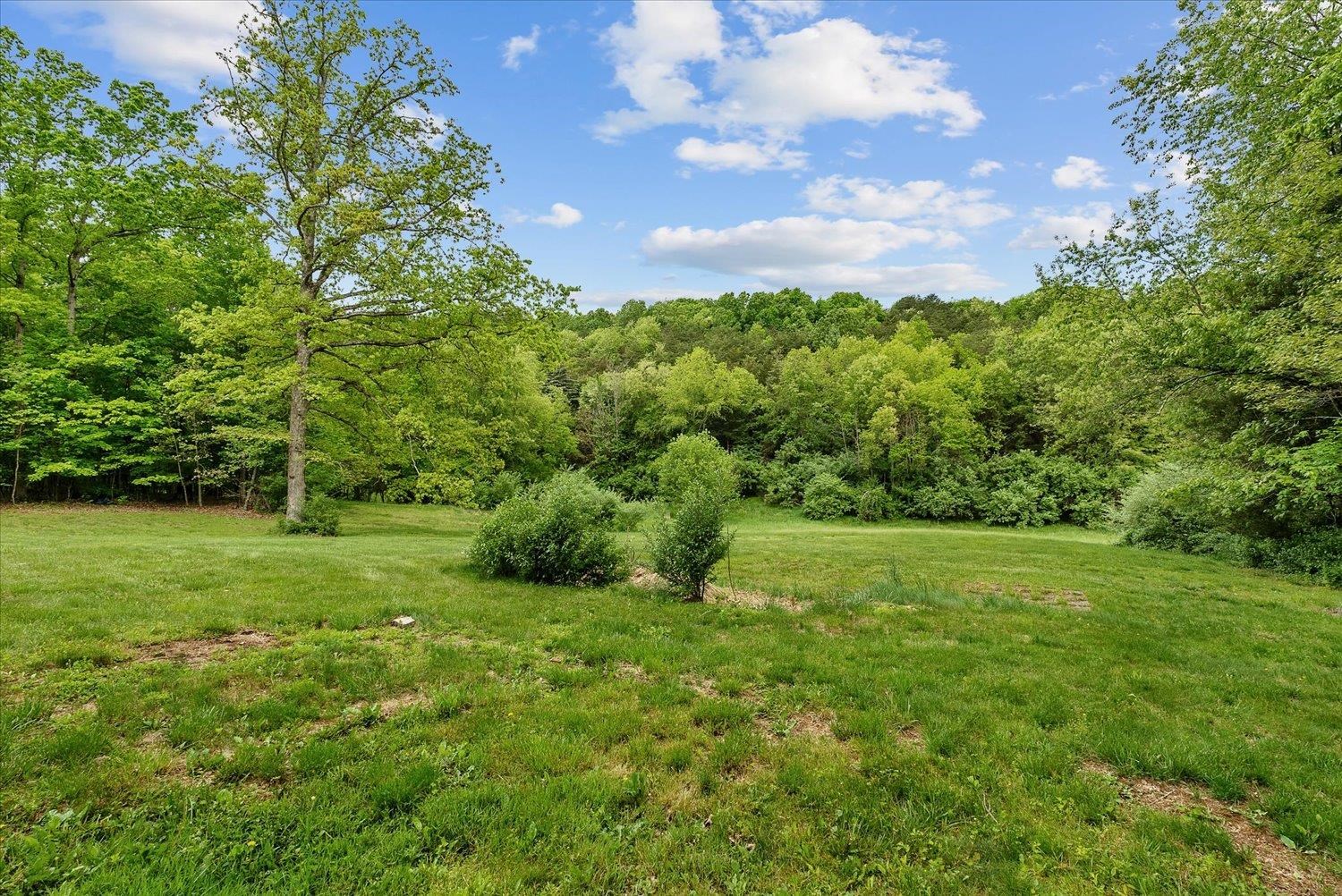 592 Stover Shop Road Churchville, VA 24421 - Photo 32 of 36 a view of a big yard with plants and large trees