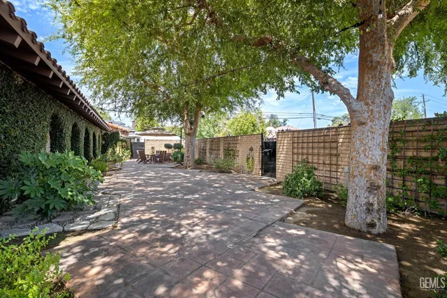 a view of a yard with plants and trees