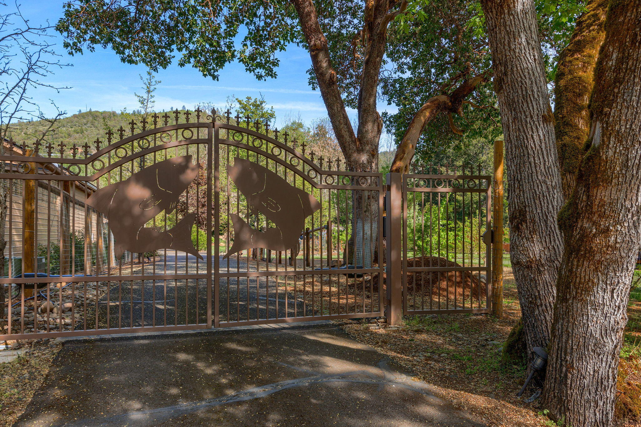 343 Rene Drive Shady Cove, OR 97539 - Photo 72 of 152 Gate