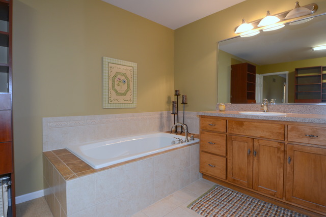 756 Ridge Drive Elburn, IL 60119 - Photo 12 of 18 a bathroom with a sink a mirror and a bathtub