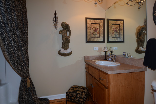 756 Ridge Drive Elburn, IL 60119 - Photo 15 of 18 a bathroom with a sink and mirror with toilet