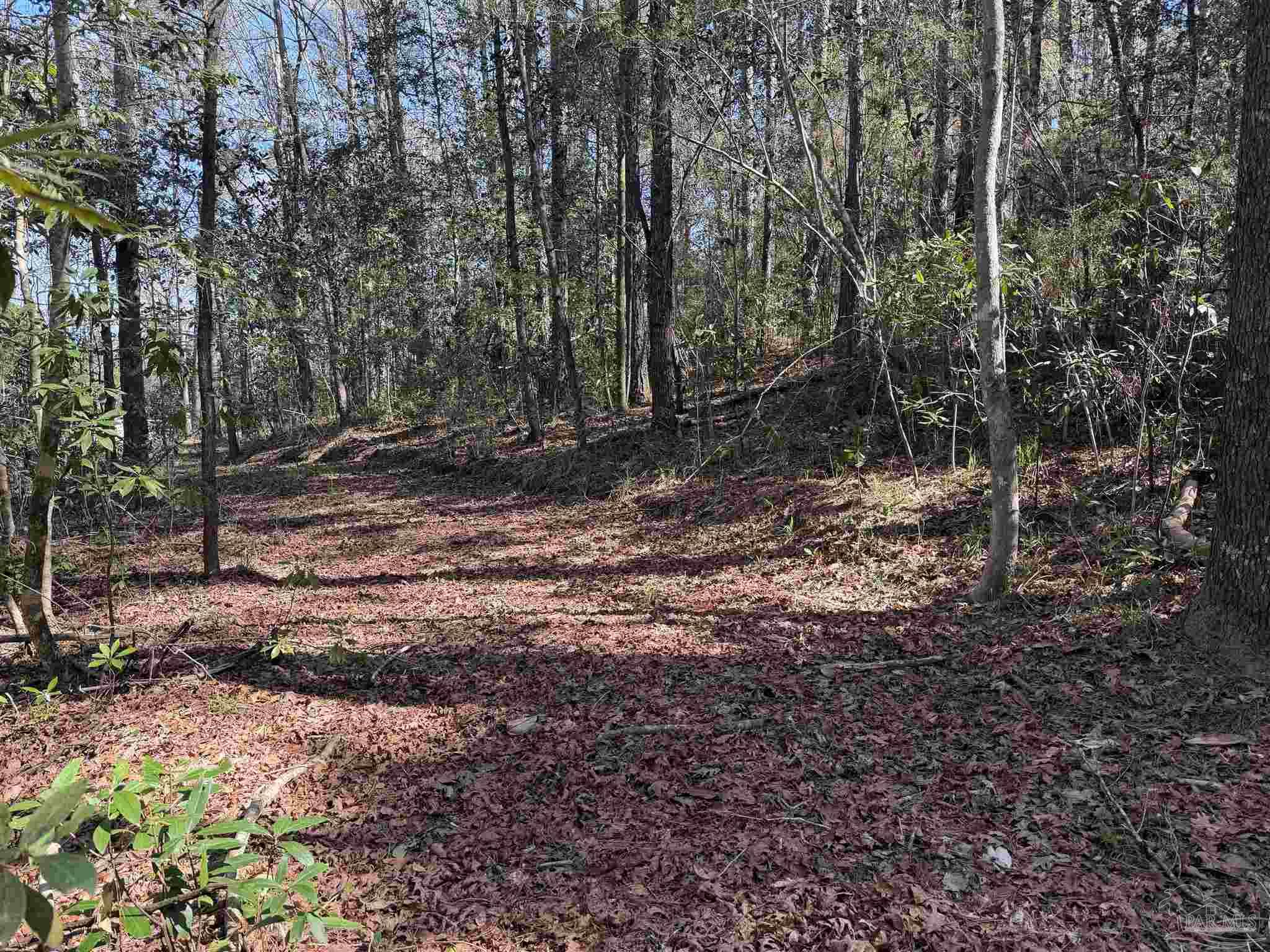 -blk Ryan Road Crestview, FL 32539 - Photo 3 of 7