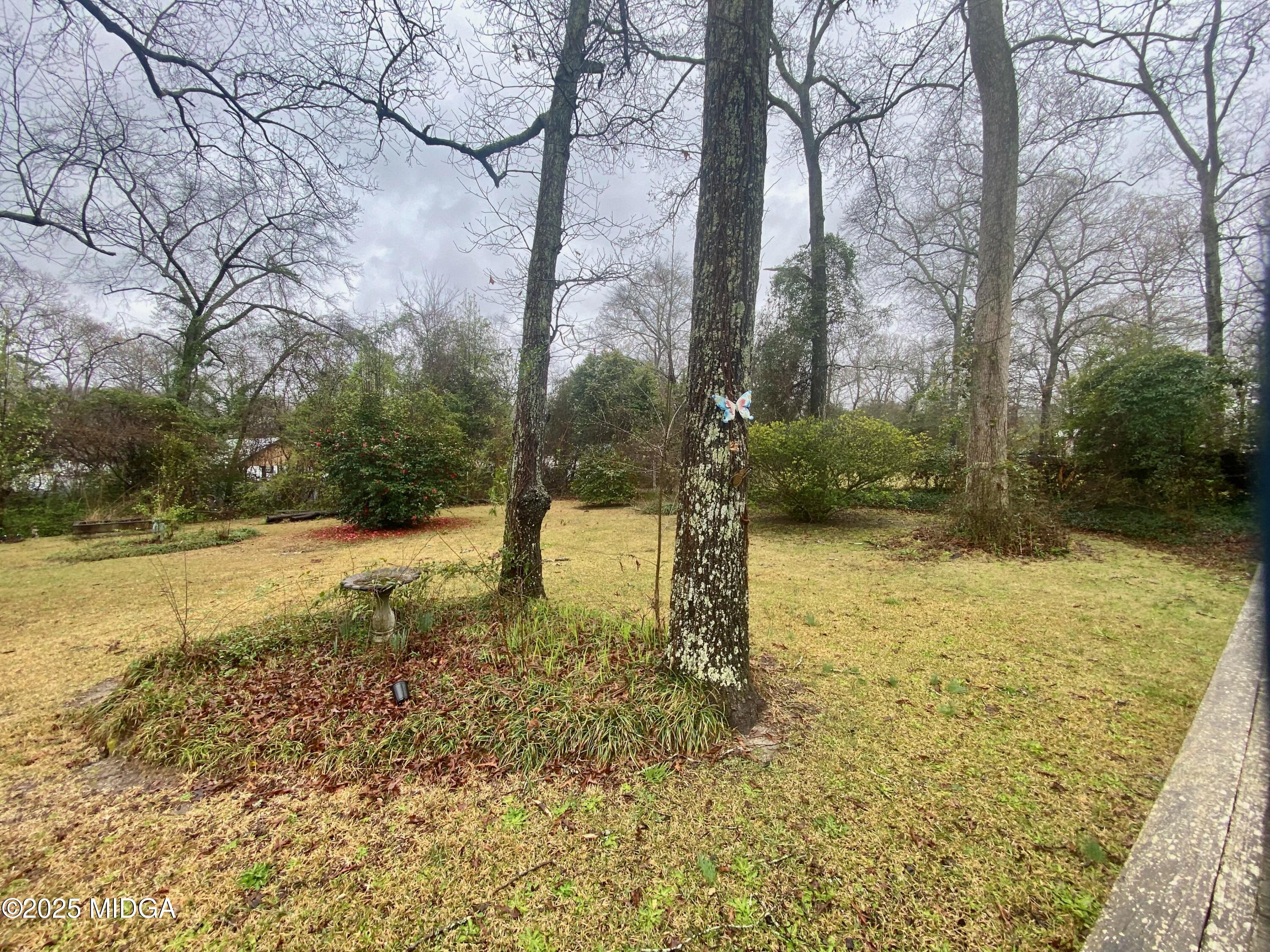 727 Walker Road Byron, GA 31008 - Photo 17 of 23 a view of a yard with trees