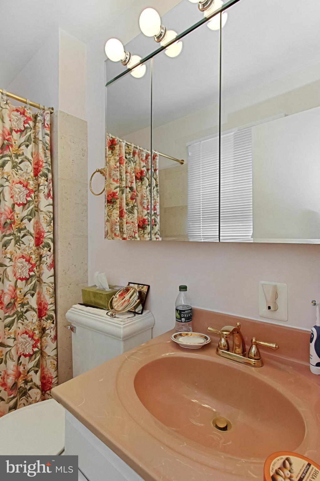 8111 West Point Drive Springfield, VA 22153 - Photo 25 of 28 Bath