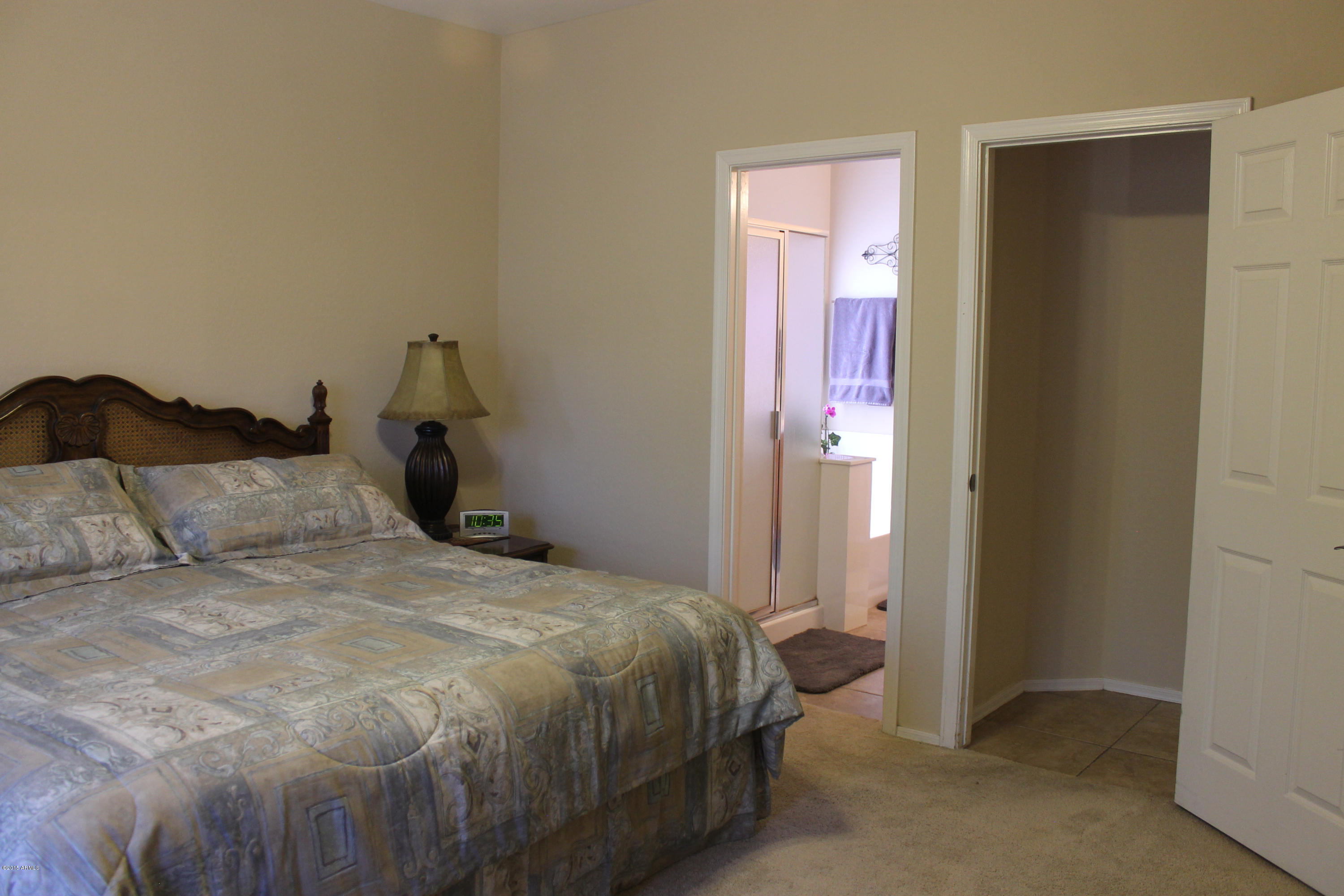 15838 West Boca Raton Road Surprise, AZ 85379 - Photo 45 of 59 Master bedroom (3)