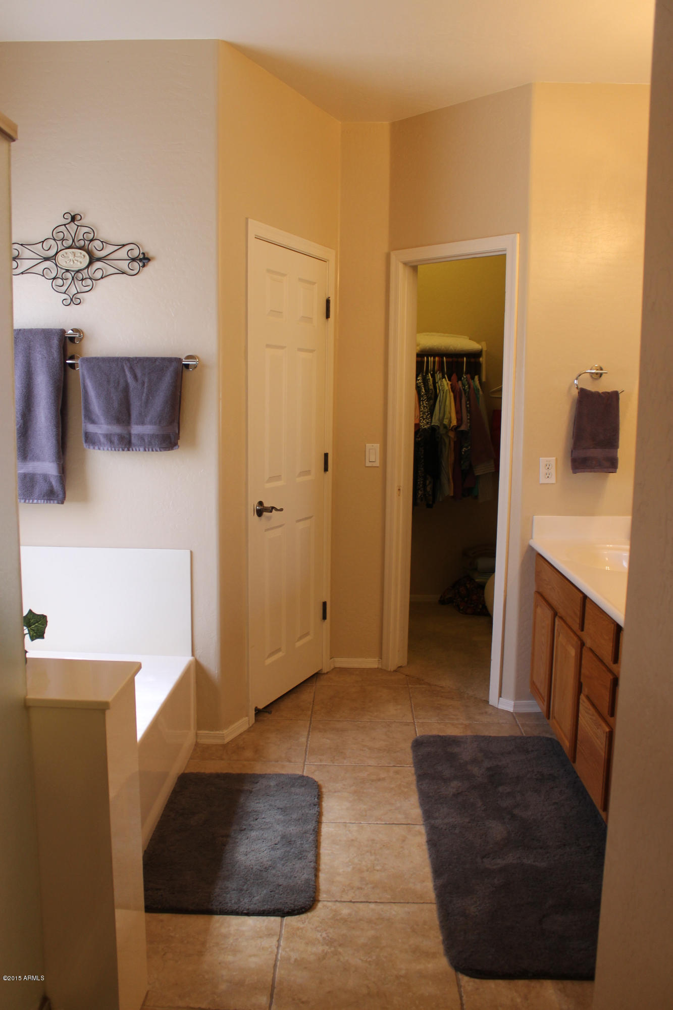 15838 West Boca Raton Road Surprise, AZ 85379 - Photo 46 of 59 Master Bath
