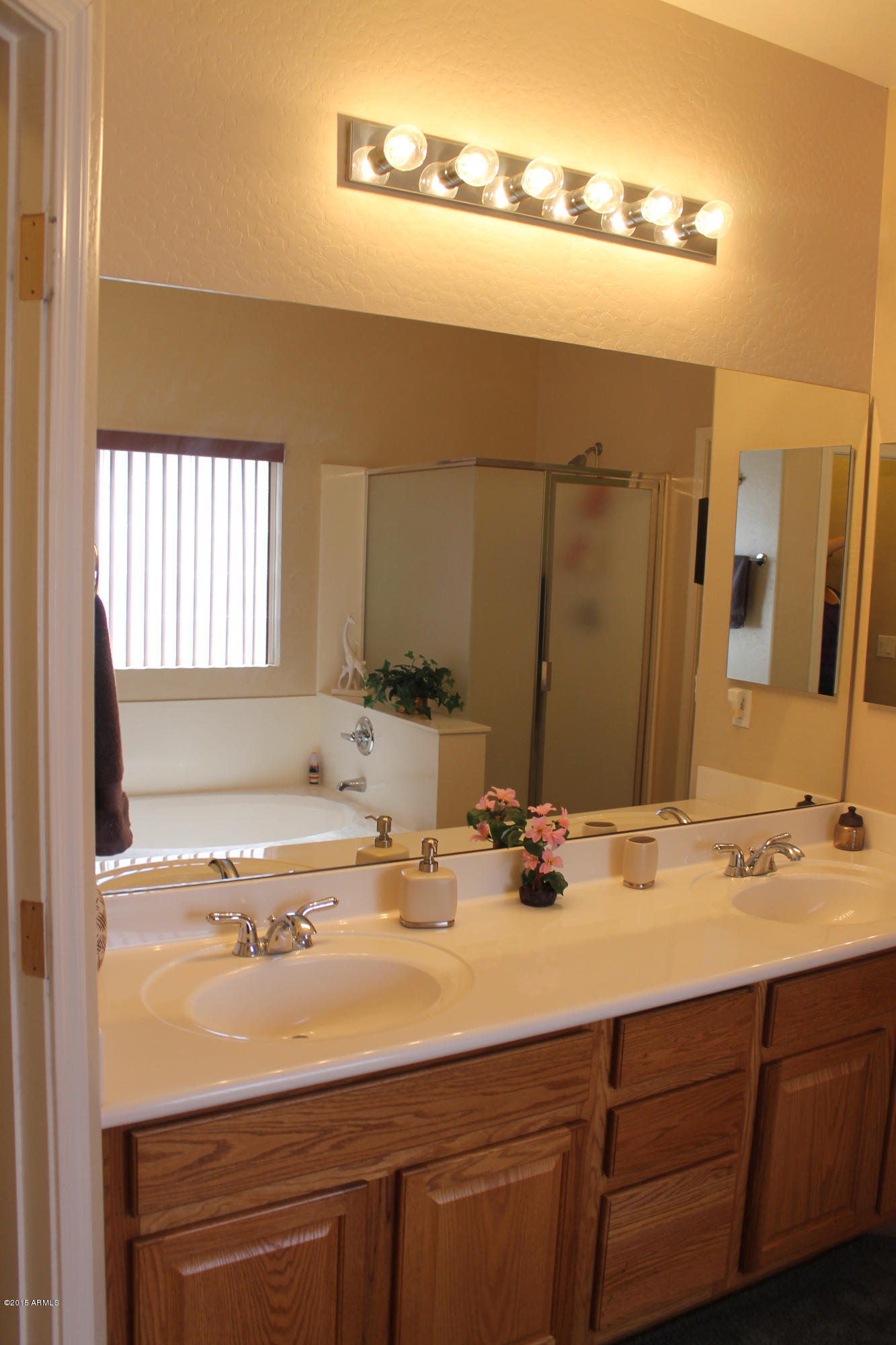 15838 West Boca Raton Road Surprise, AZ 85379 - Photo 47 of 59 MB Bath Separate Tub and Shower