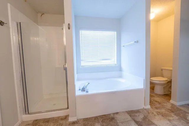 a bathroom with a bathtub and a toilet