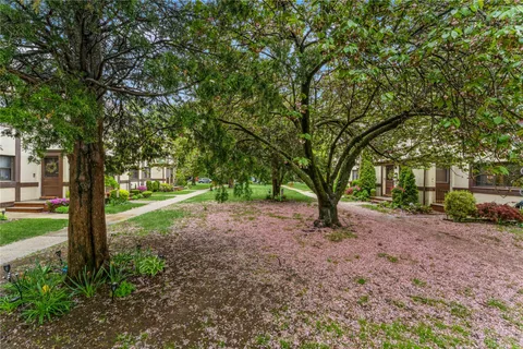 a view of a tree in the middle of a yard