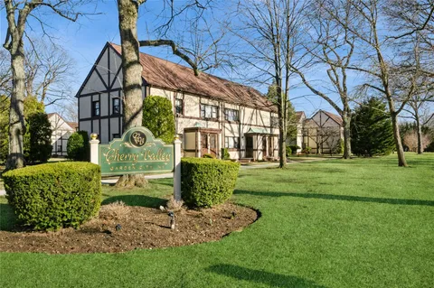 a view of a park that has a tree on it