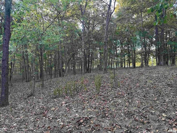 $782,500 | 5446 North 1700th Street, Dieterich, IL 62424