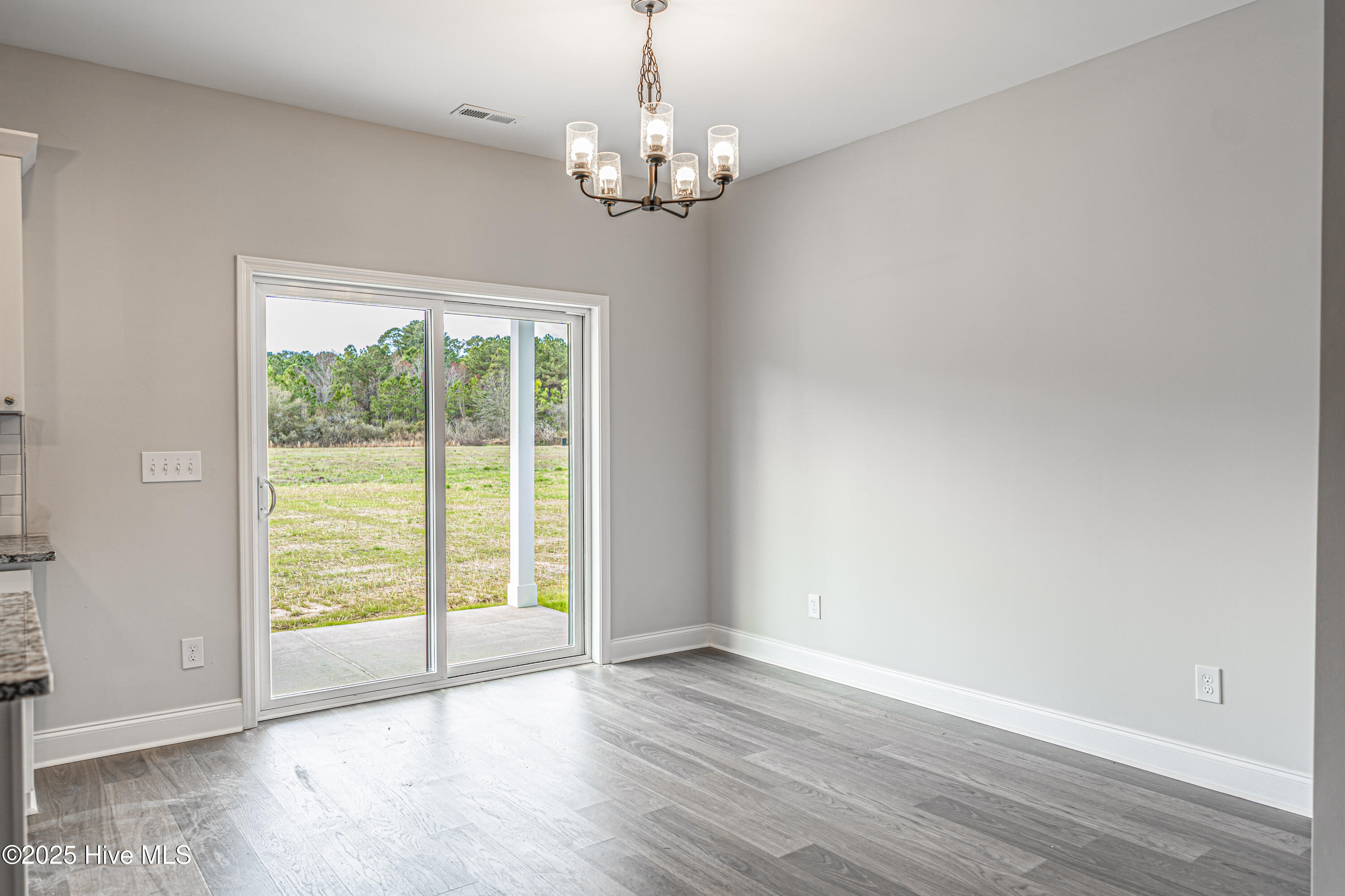290 Morrison Bridge Road Vass, NC 28394 - Photo 8 of 28 DSC03498-Edit