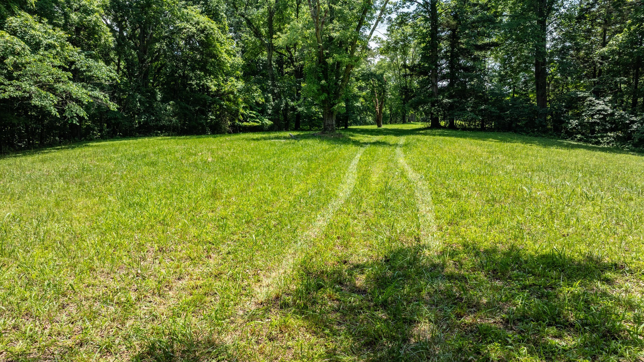 7542 Chestnut Ridge Road Winchester, TN 37398 - Photo 11 of 40 a view of a green yard