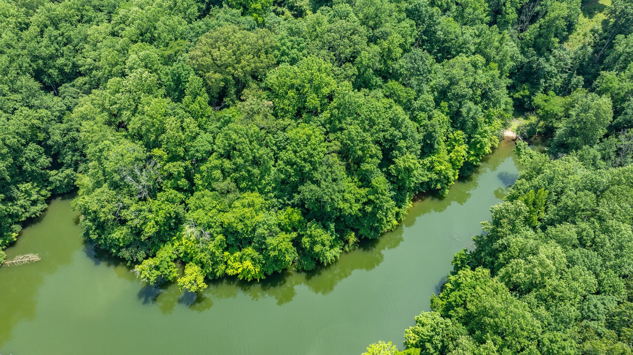 7542 Chestnut Ridge Road Winchester, TN 37398 - Photo 31 of 40 a view of a lake with a yard