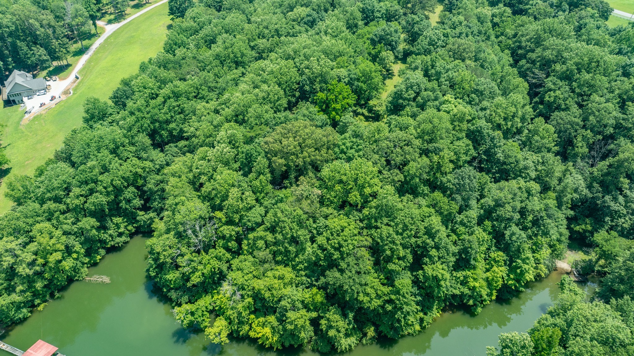 7542 Chestnut Ridge Road Winchester, TN 37398 - Photo 32 of 40 a view of a garden