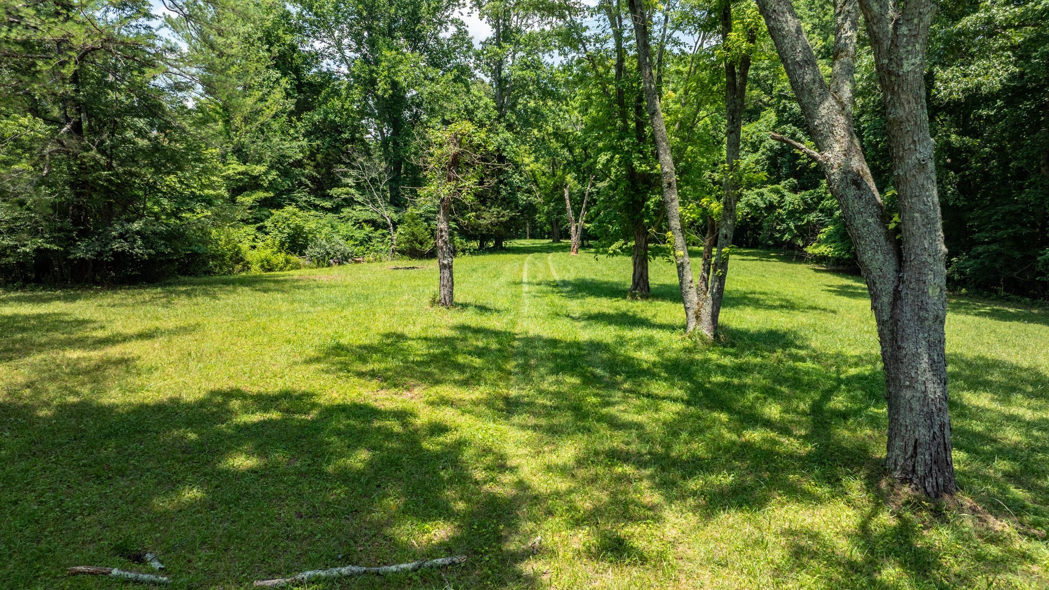 7542 Chestnut Ridge Road Winchester, TN 37398 - Photo 5 of 40 a view of a trees with a yard