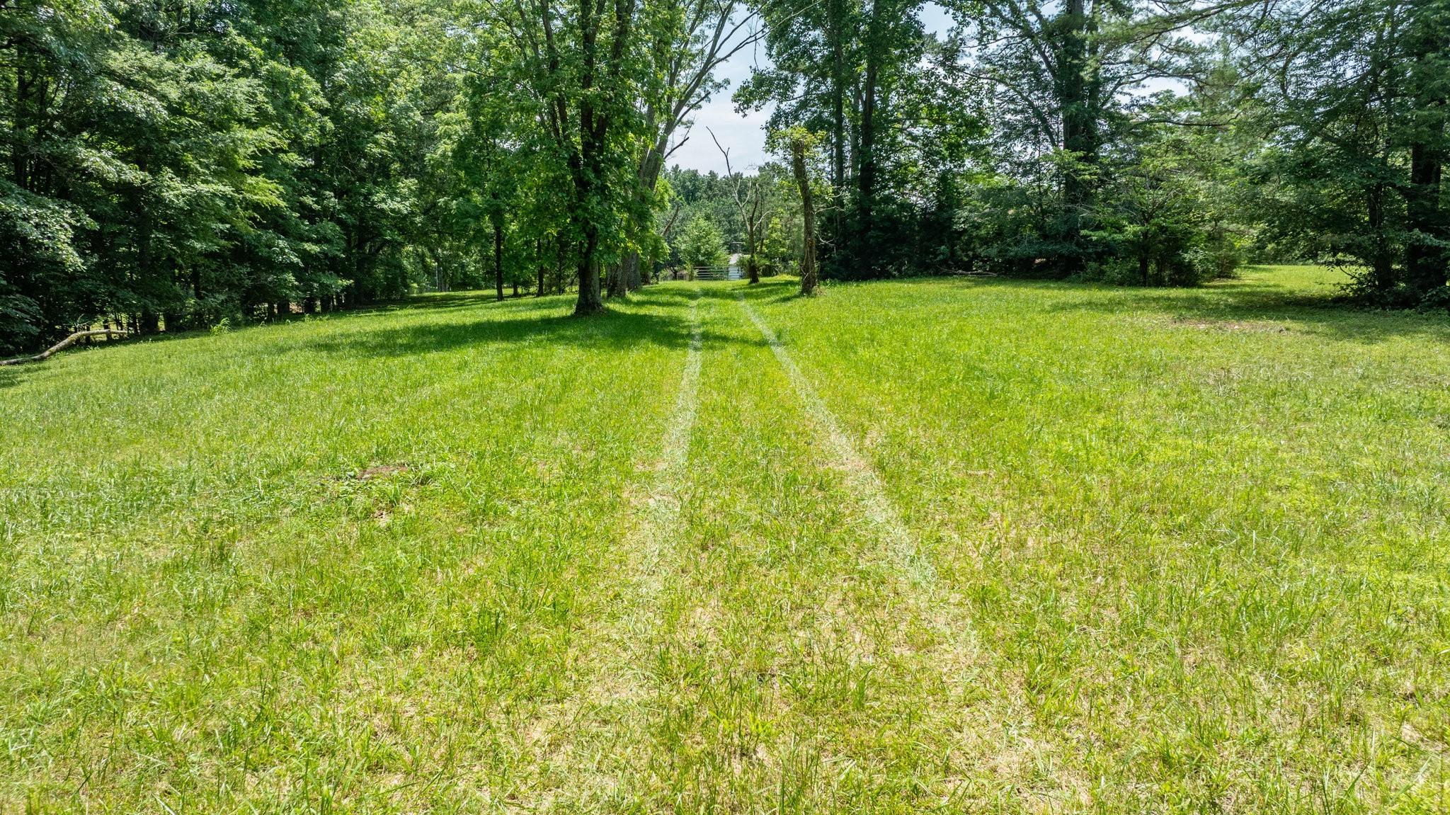 7542 Chestnut Ridge Road Winchester, TN 37398 - Photo 7 of 40 a view of a yard with a trees