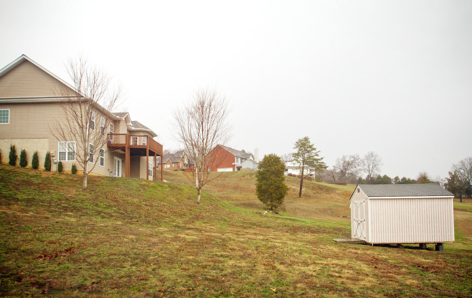 8300 Cliff Ridge Court Corryton, TN 37721 - Photo 20 of 23 Street View