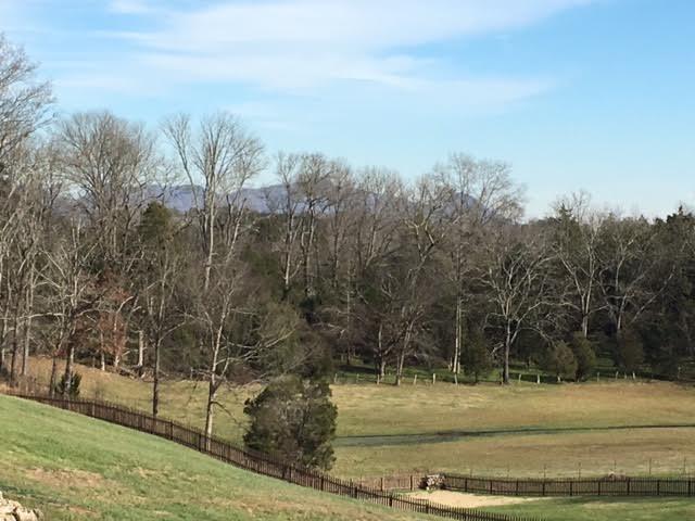 8300 Cliff Ridge Court Corryton, TN 37721 - Photo 21 of 23 Country Setting and Moutain View