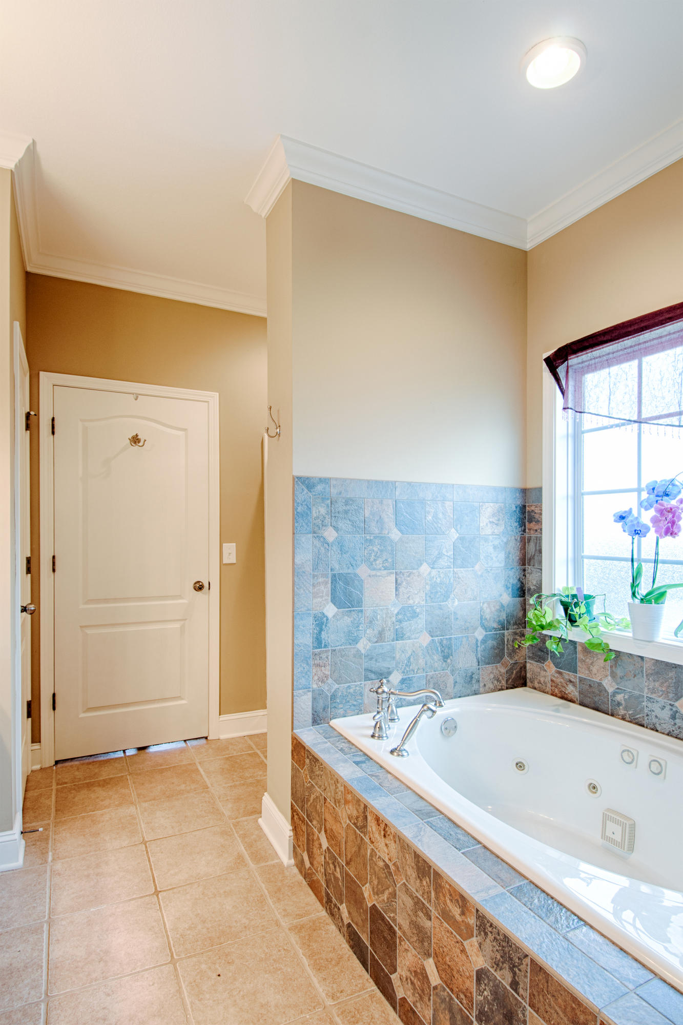 8300 Cliff Ridge Court Corryton, TN 37721 - Photo 10 of 23 Master Ensuite