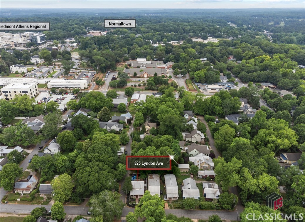 325 Lyndon Avenue Athens, GA 30601 - Photo 6 of 31 Close to downtown and Normaltown
