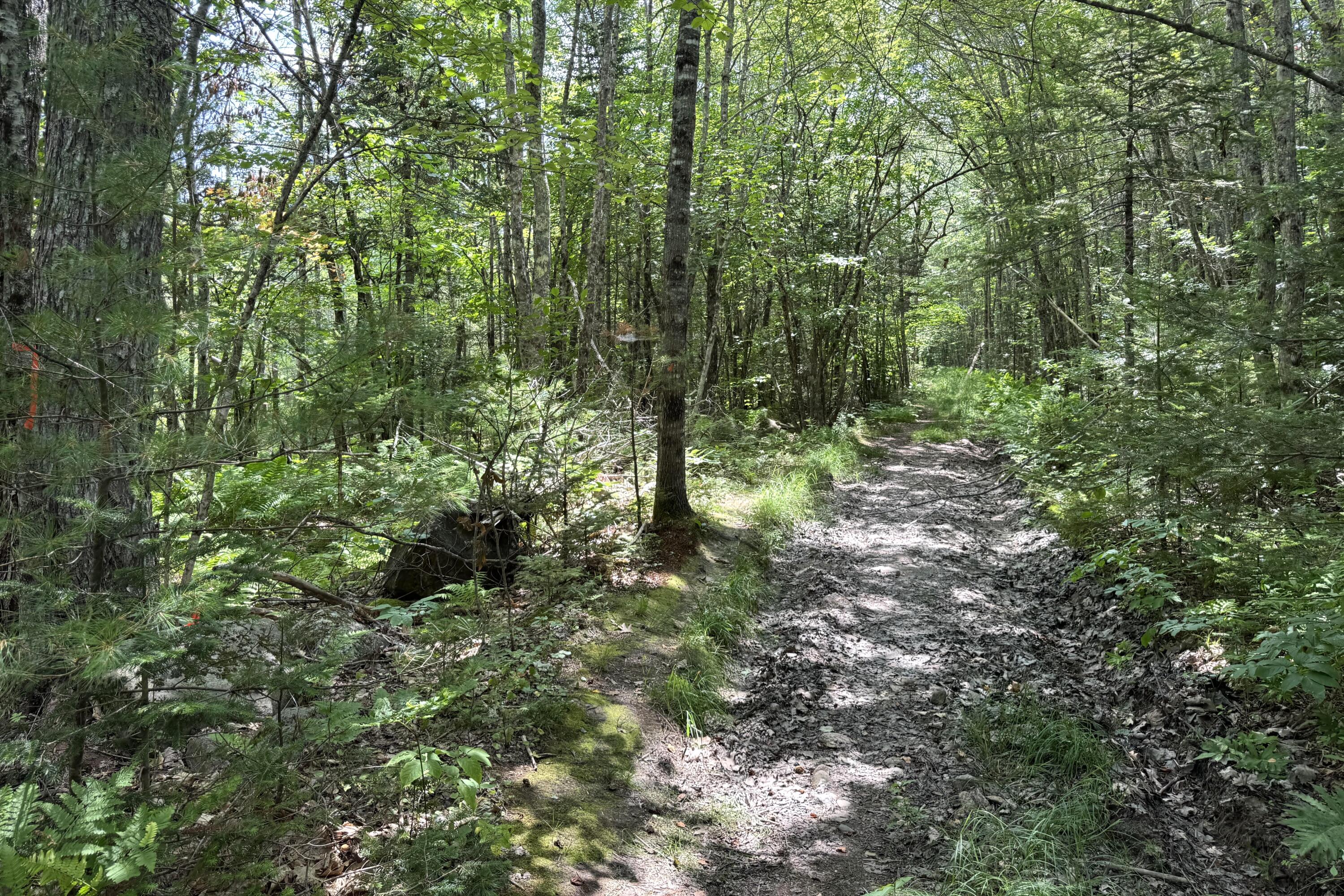 0 Thurlow Road Lincolnville, ME 04849 - Photo 11 of 12 Thurlow Road 4