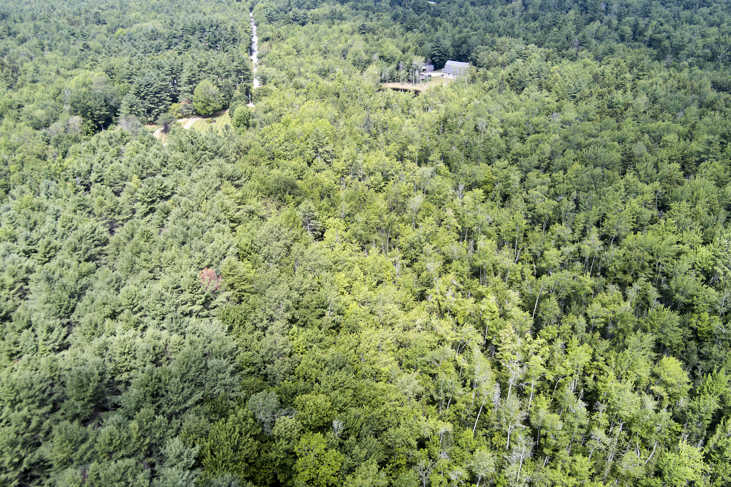 0 Thurlow Road Lincolnville, ME 04849 - Photo 12 of 12 01- 27 Thurlow Road - Lincolnville - JAC