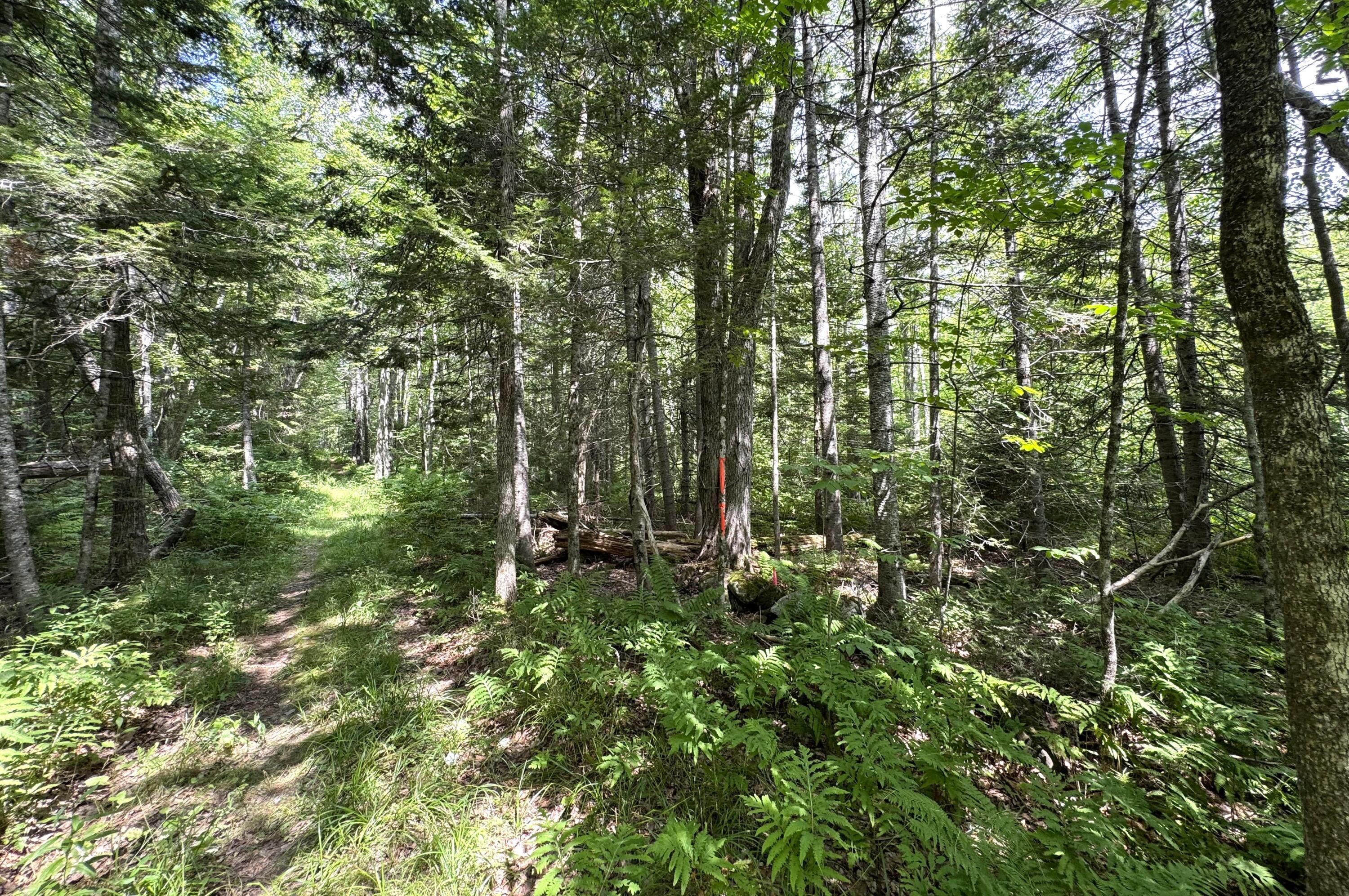 0 Thurlow Road Lincolnville, ME 04849 - Photo 4 of 12 Thurlow Road 3