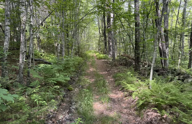 $139,000 | 0 Thurlow Road, Lincolnville, ME 04849