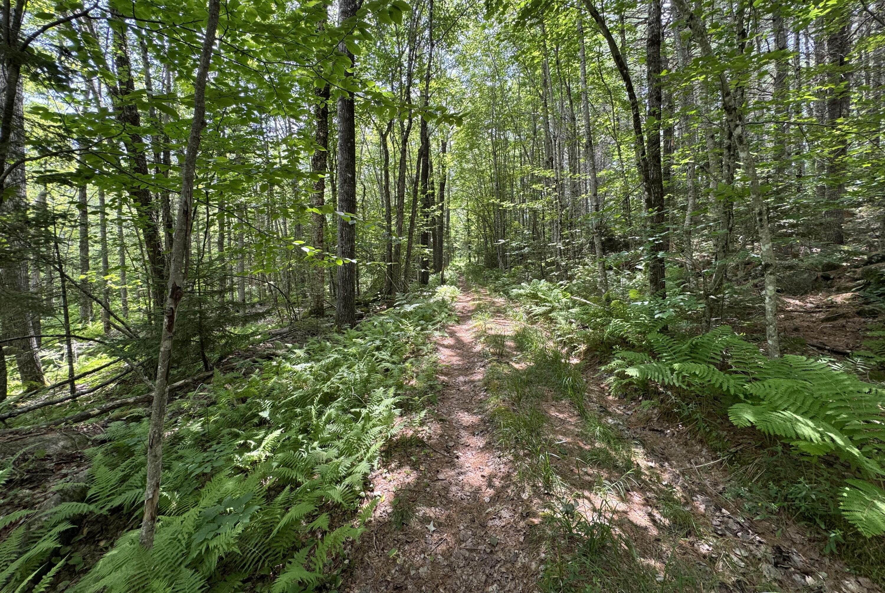 0 Thurlow Road Lincolnville, ME 04849 - Photo 8 of 12 Thurlow Road 2