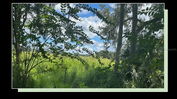 a view of an outdoor space and a yard