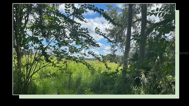 a view of an outdoor space and a yard