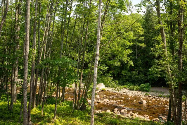 $350,000 | 7 River And Pines Condo Road, Intervale, NH 03845