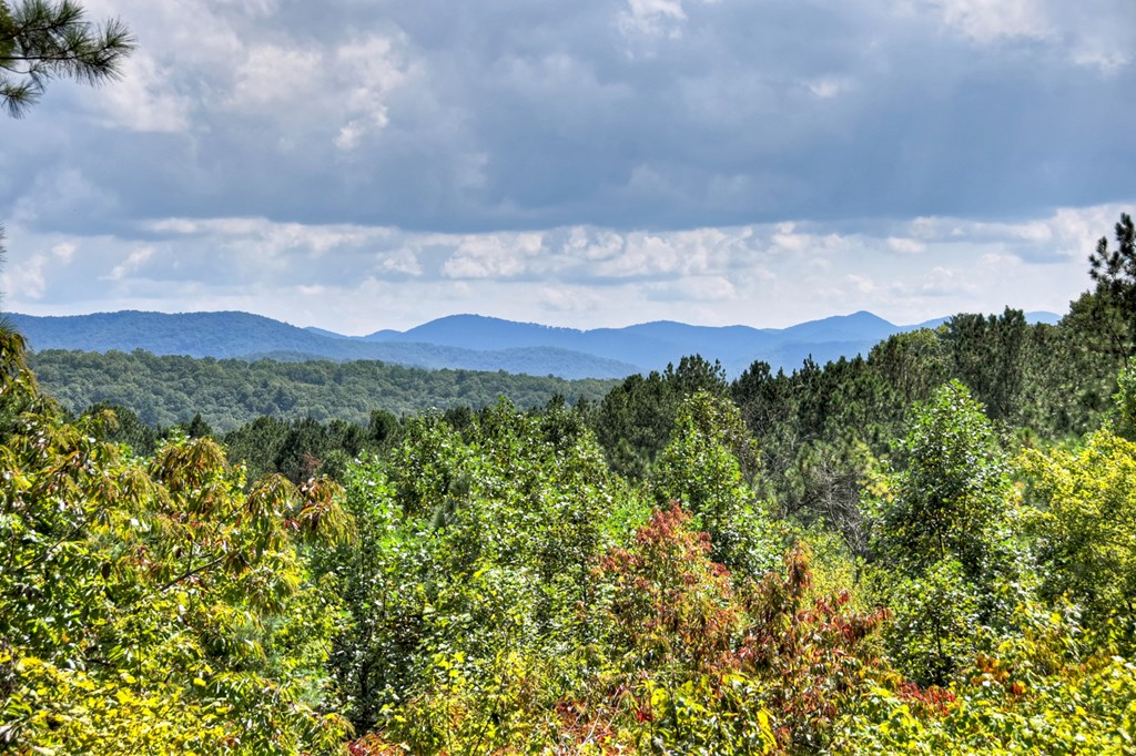 603 Red Berry Ridge Road Blue Ridge, GA 30513 - Photo 12 of 96 Gallery Image 12