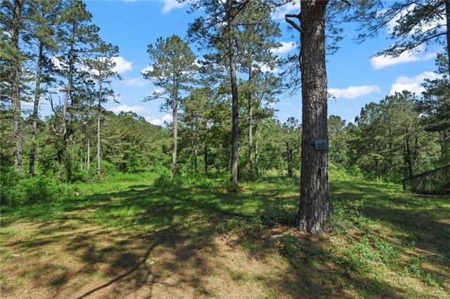 50077 Lawrence Creek Road Franklinton, LA 70438 - Photo 12 of 16
